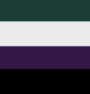Exipronoun Flag (2020)