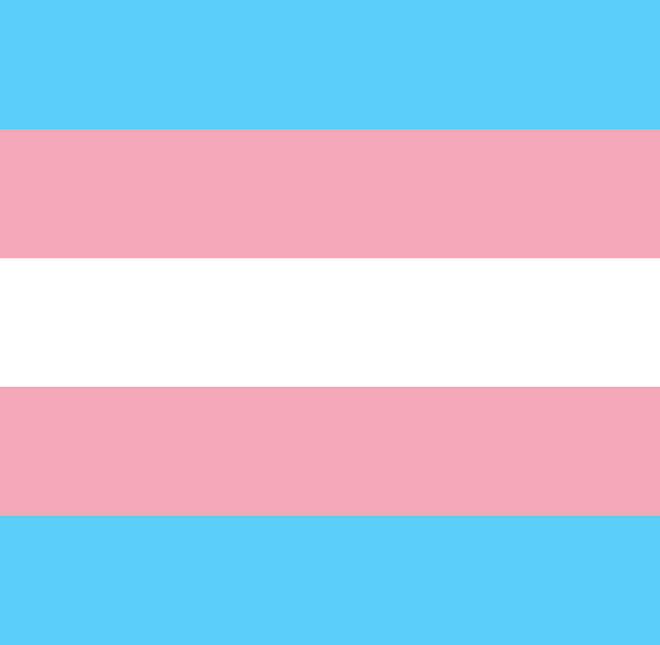 Transgender pride flag (1999)
